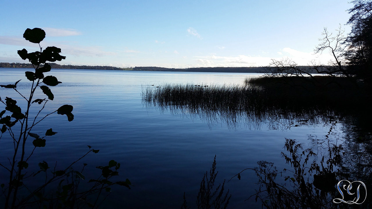 Udsigt over furesøen 17-11-2015 11:20:01