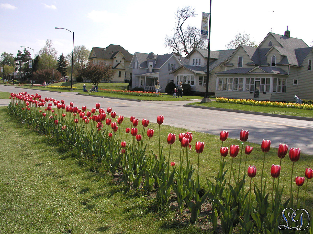 Tulipan festival Pella Iowa originalt billede